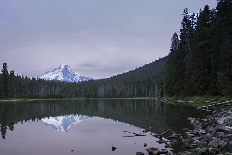 Mount Hood, snow-covered, rising above a dark evergreen forest and reflected in a still lake under a pale lavender sky.