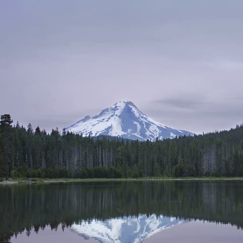 Close crop of the same scene: the snow-covered peak of Mount Hood and its reflection in the lake.