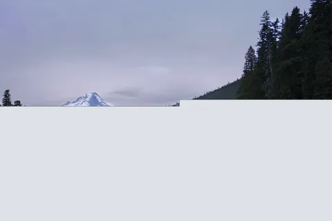 The top half: sky, treetops and the tip of the mountain, sharp, with a ragged lower edge.